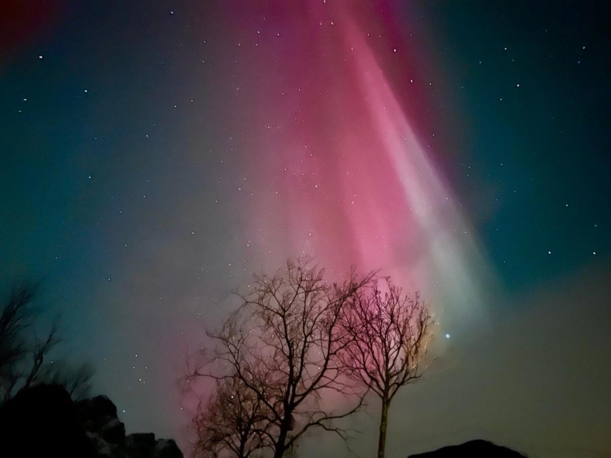 Lofoten Glampingdome Myrland Kültér fotó