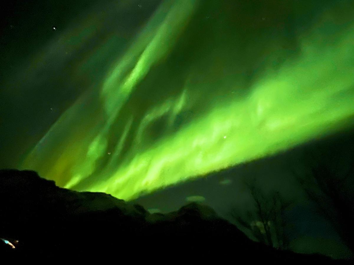 Lofoten Glampingdome Myrland Kültér fotó