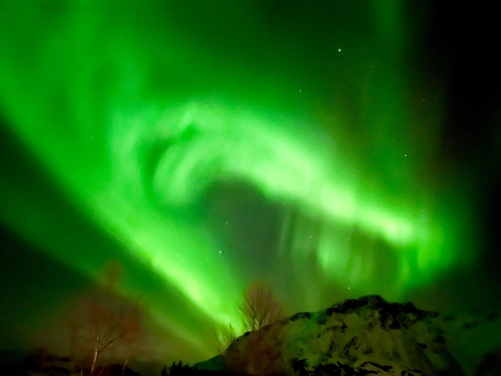 Lofoten Glampingdome Myrland Kültér fotó