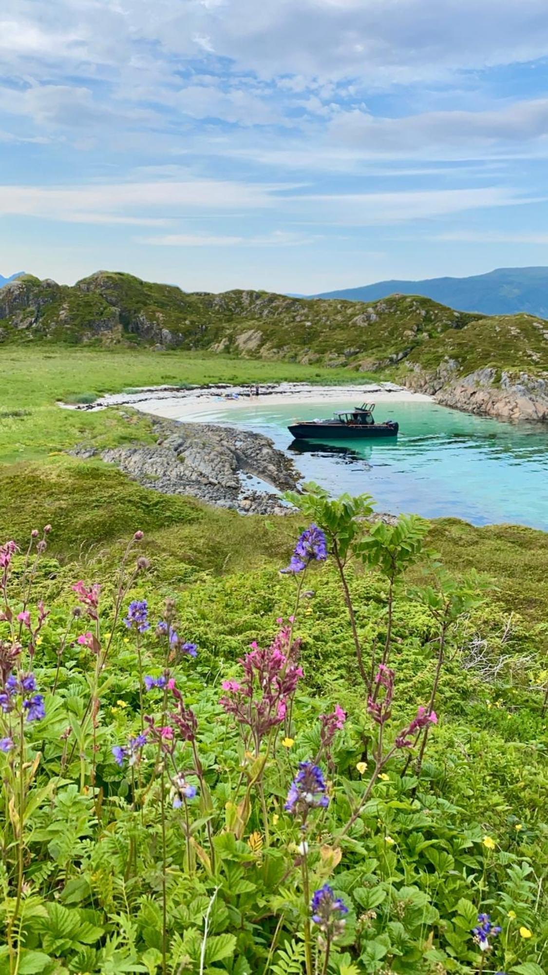 Lofoten Glampingdome Myrland Kültér fotó